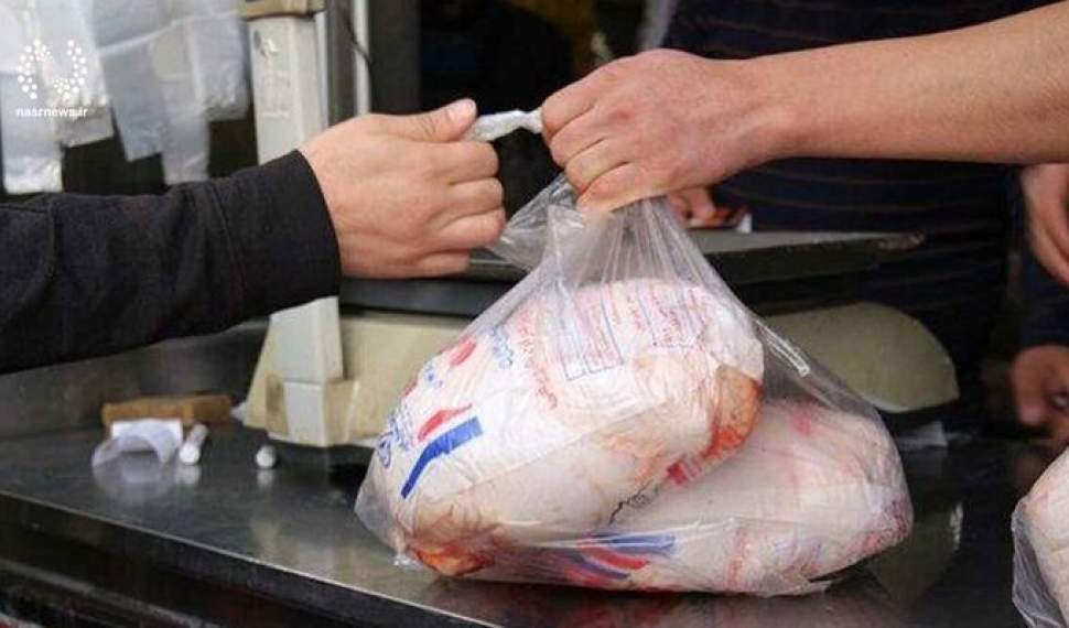 بال‌های عدالت بر فراز بازار مرغ